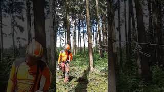 #riccic #farmvlog #farmlife #forst #timber #stihl