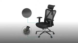 Duramont Ergonomic Office Chair