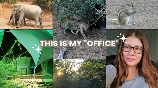 🇱🇰5AM MORNING DIARIES: Wildlife views (Elephants, Leopard, Birds) | How I Start My Day | Sri Lanka