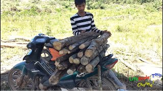 Jungle Life | Man Cutting Wood for Sale | FLV Official