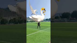 The big white goose and the eagle🦅3D Special Effects   3D Animation #shorts #vfxhd