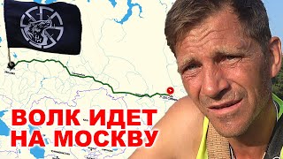 Волк идет на Москву