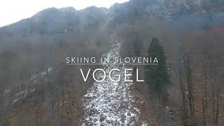 Vogel Skiing Christmas 2023