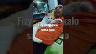 kucing manja #shorts  #kucinglucu  #catlover