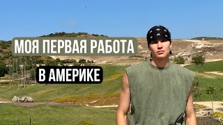 МОЯ ПЕРВАЯ РАБОТА В АМЕРИКЕ | СКОЛЬКО Я ЗАРАБОТАЛ?