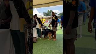 Dog Show in Ghana #dog #shorts #germanshepherd