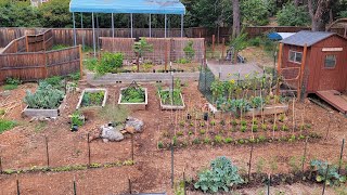 Week 3, Cray's Rockpile Gardens