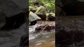 Peaceful Japanese River and Scripture Reading #christianasmr #biblerelaxation