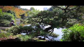 Shinjuku Gyoen National Garden