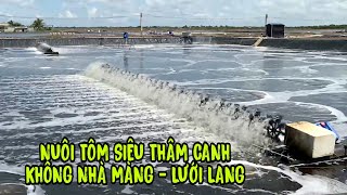 Nuôi tôm siêu thâm canh ao chìm lót bạt