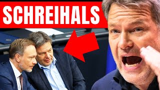 BRÜLL LEISE HABECK! 💥 RIESEN TUMULT IM BUNDESTAG! 💥 AFD REDE JAGT GERADE 2 MIO KLICKS AUF YOUTUBE!