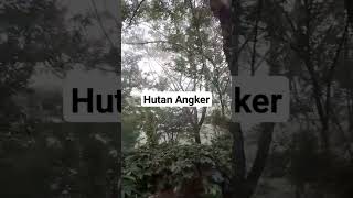 Hutan Angker