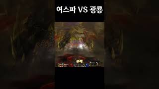 던파] 여스파 VS 광룡