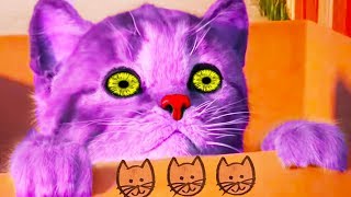 Fun Pet Care Kids Game - Little Kitten My Favorite Cat - Cute Kitten Care For Children & Toddlers