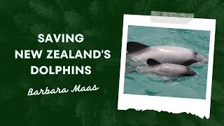 Saving New Zealand's Dolphins | NBTI