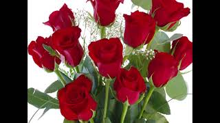 Eleven Roses    Hank Williams Jr