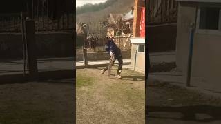 Cameraman to war gaya😂 #cricket #kashmir #cricketpractice #cricketlover #cricketshorts #coverdrive