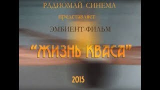 Жизнь кваса