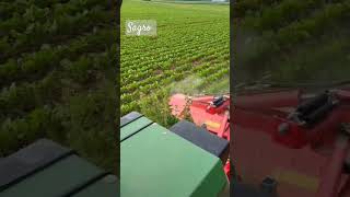 #riccic #farmvlog #landwirtschaft #fy #agriculture #farm