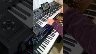 KORG Pa5X、自分のバンドを引き連れている感覚で最高😃👍🏻　MONTAGE M8xと共演しました😉