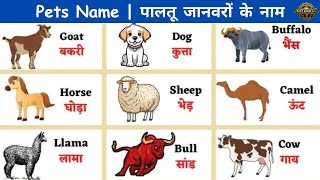 Domestic Animals Name | 20 Pets Animal Name for Kids in Hindi and English | पालतू जानवरों के नाम