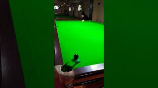 Snooker - Good Shot 🔥