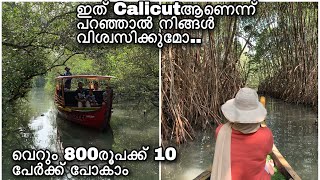 calicutലെ കണ്ടൽകാടിലേക്ക്