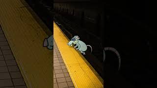 Subway Rats 7  #cartoon #animation #nyc #nycsubway #loop #rat #animated #digitalart #funnyanimation