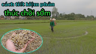 Bón phân thúc chòi sớm vụ hè thu #49 l Thanhdotv