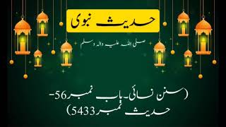 hadees sharif |hadees sharif in urdu |hadith sharif in urdu |hadees bukhari sharif in urdu |hadis