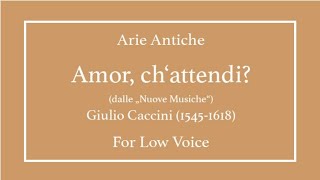 Amor, ch'attendi? - Caccini - Low