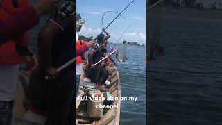 Peacock bass fishing