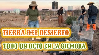 53~🌵TIERRA DIFÍCIL LA DEL DESIERTO~SEMBRANDO MELON FRESCO~ESTOS SON NUESTROS NOMBRES🔥