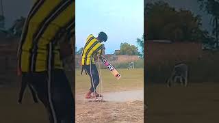 ll ❤Cricket🏏 video 💞ll 🤔wait for end😈 #cricket #shorts #ytshorts😘 #cricketlover #cricketshorts