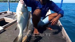 Mancing Ikan Dasaran, Dapat Ikan Kaci Kaci (Kaneke) Babon !!! Pakek Umpan Udang