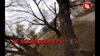 Голые деревья RC AGGRESSOR FPV