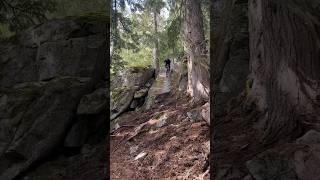 Point and shoot #whistler #slab #passenger #hangingon #bosh #fy #mtb