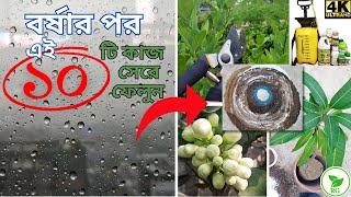 10 Things You MUST Do After Monsoon | Don't Miss It | বর্ষার পর বাগানে যে ১০টি কাজ করতেই হবে |