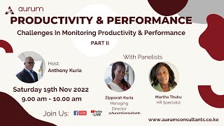 Challenges in Monitoring Productivity and Performance Part 2