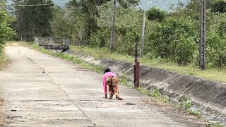 Cô Bé Kỳ Lạ Nhất Thế Giới Đi Bằng Bốn Chân Giữa Đường Mà Không Tin Là Họ Tồn Tại “tập 104