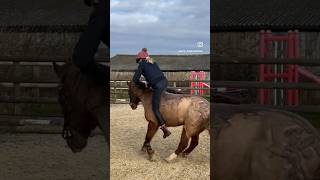 BAREBACK FAIL! When Phoebe rides Hattie! #pony #fail #fall #hattiethewildcardpony #lemieux #phoebe