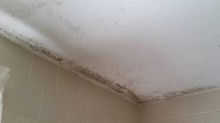 Bath ceiling before cleaning and paint