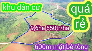 đất rẻ 9,6ha tại đăk nông giá 550tr/ha . ôm 600m mặt bê tông. 0987326906