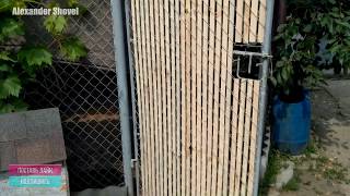 ИДЕЯ для забора сетка рабица. Для Дачи и Дома. DIY.IDEA for fence mesh netting.