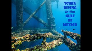 Scuba Diving an Oil Platform in the Gulf of Mexico with THOUSANDS of fish! (4K)