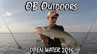 Open Water 2016 Trailer