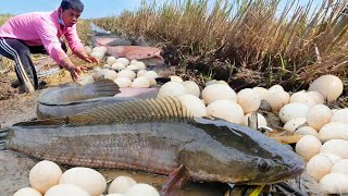 wow amazing ! best hand fish, A fisherman catch many fish on the moss