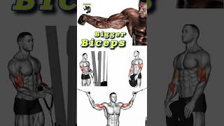 Best Biceps Workout #shorts #biceps #bicepsworkout  #shortsfeed #workout  #gym #bodybuilding