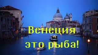 Венеция прогулка на вапоретто