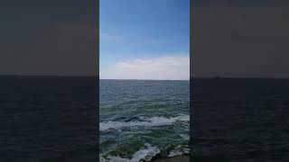 #Азовское #море радует глаз #рек #топ #sea